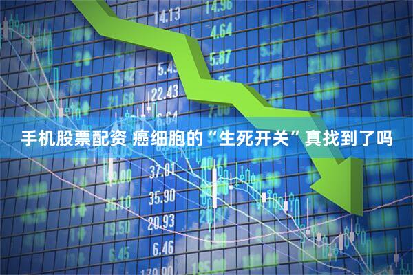 手机股票配资 癌细胞的“生死开关”真找到了吗