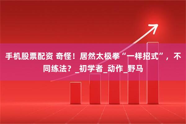 手机股票配资 奇怪！居然太极拳“一样招式”，不同练法？_初学者_动作_野马