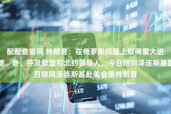 配配查官网 特朗普：在俄罗斯问题上取得重大进展！英、法、德、意、芬及欧盟和北约领导人，今日陪同泽连斯基赴美会晤特朗普